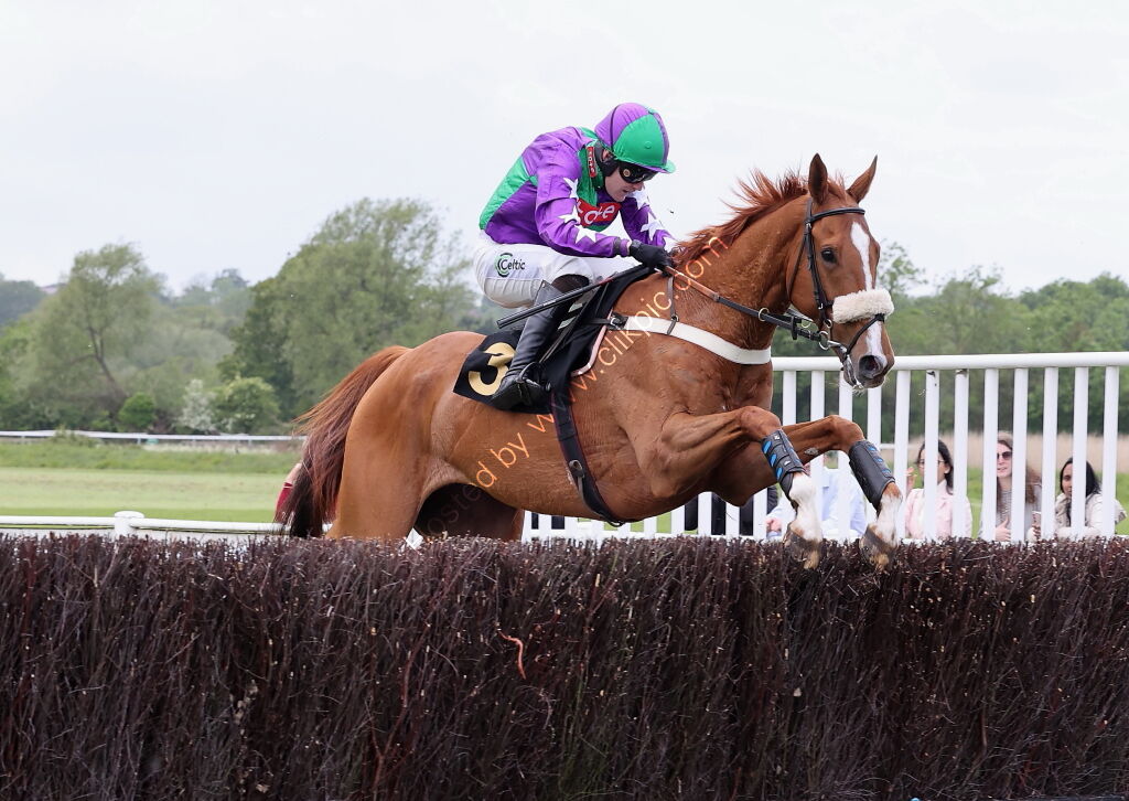 Logicor Cup Handicap Chase