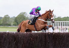 Logicor Cup Handicap Chase