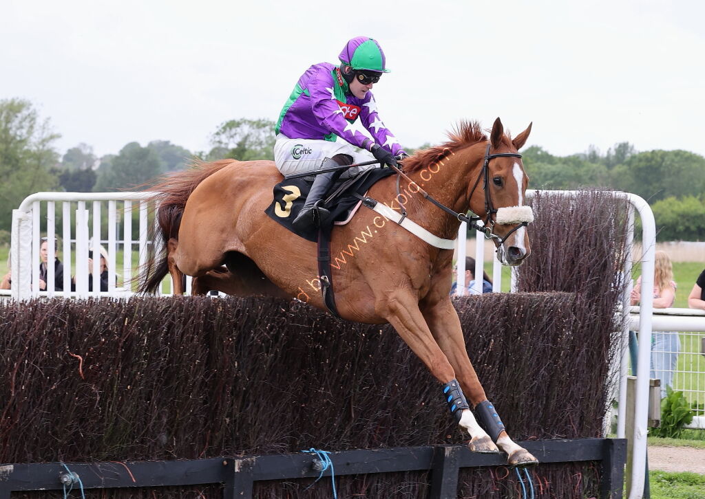 Logicor Cup Handicap Chase