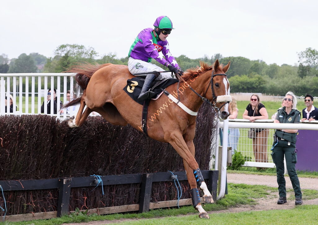 Logicor Cup Handicap Chase