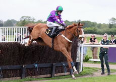 Logicor Cup Handicap Chase