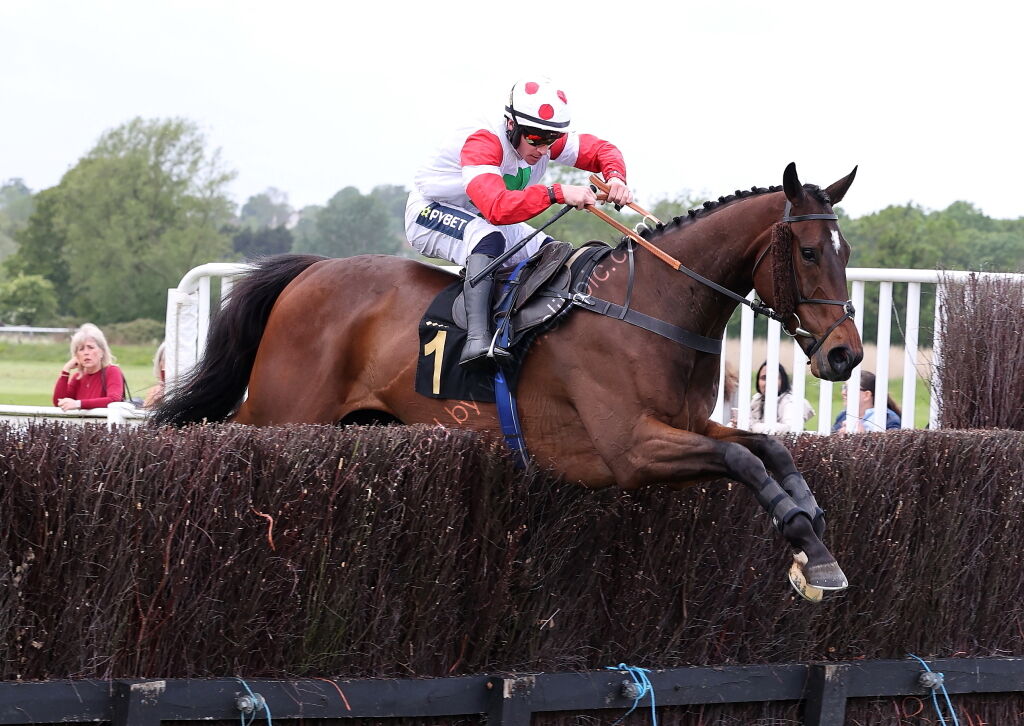 Logicor Cup Handicap Chase