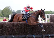 Logicor Cup Handicap Chase