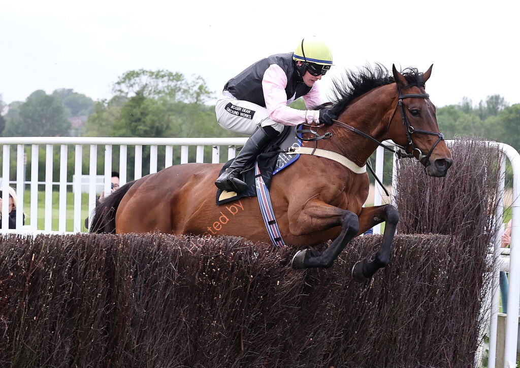 Logicor Cup Handicap Chase