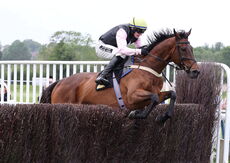 Logicor Cup Handicap Chase
