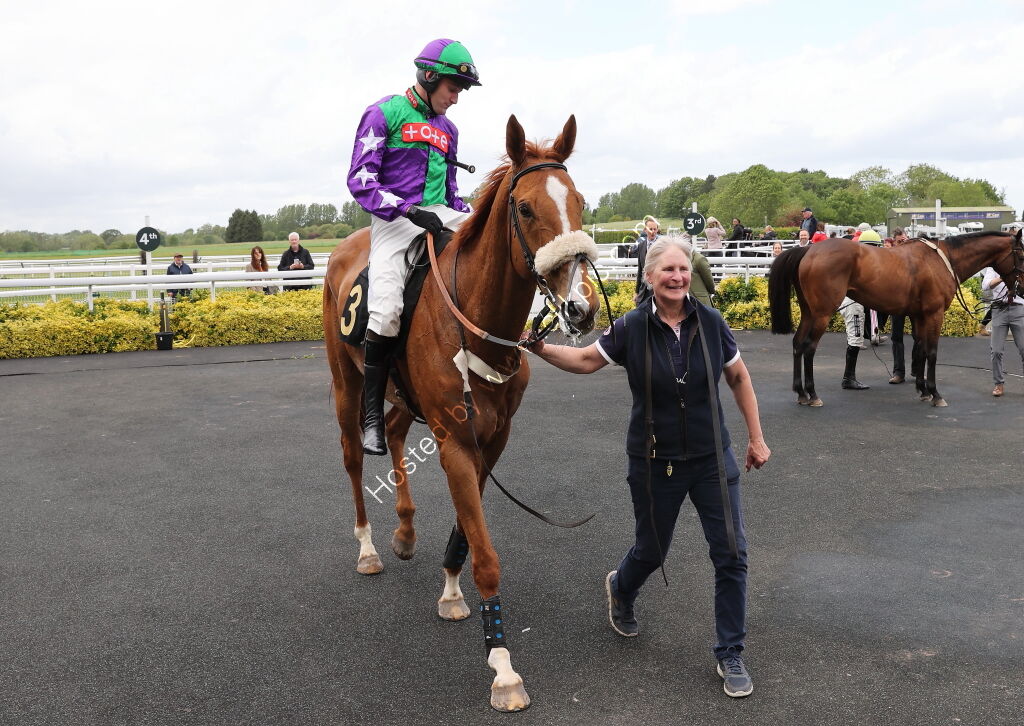 Logicor Cup Handicap Chase