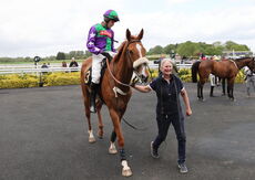 Logicor Cup Handicap Chase