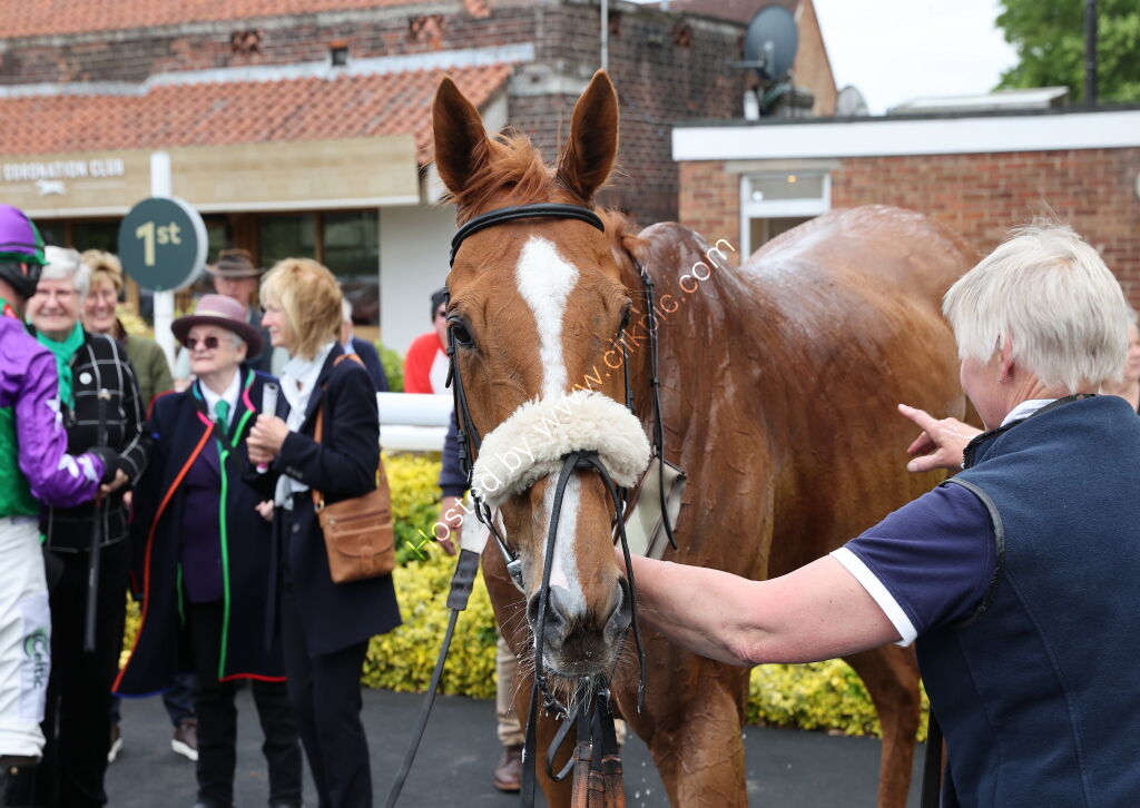 Logicor Cup Handicap Chase