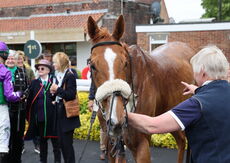 Logicor Cup Handicap Chase