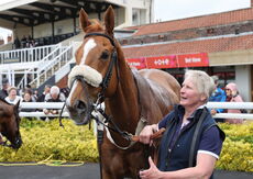 Logicor Cup Handicap Chase