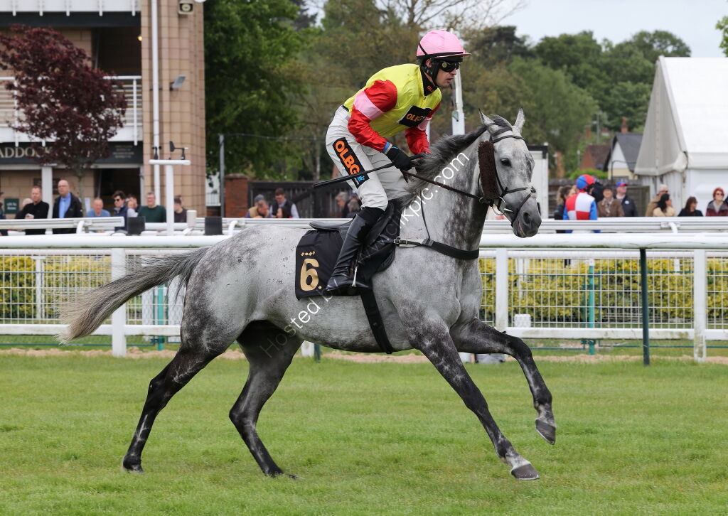 Logicor Defying  Handicap Hurdle