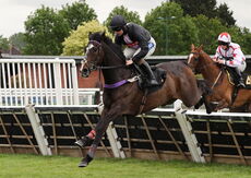 Logicor Defying  Handicap Hurdle