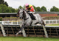Logicor Defying  Handicap Hurdle