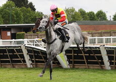 Logicor Defying  Handicap Hurdle
