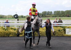 Logicor Defying  Handicap Hurdle