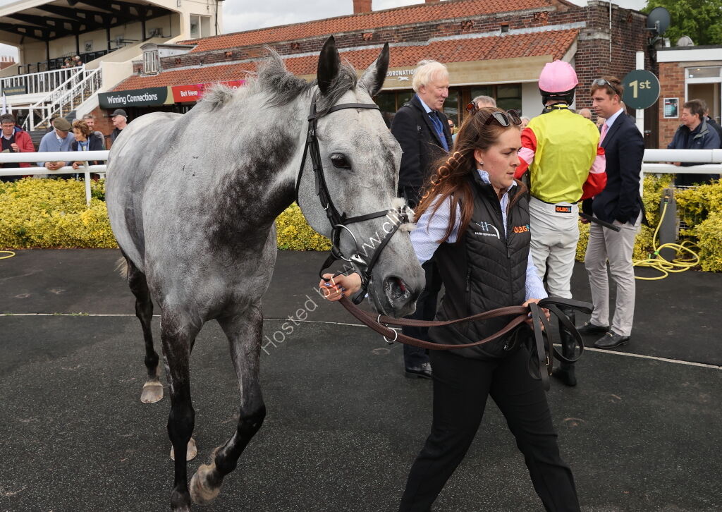 Logicor Defying  Handicap Hurdle