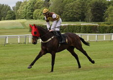 Cor Blimey Gallop Novices' Ltd Handicap Hurdle