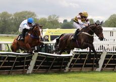 Cor Blimey Gallop Novices' Ltd Handicap Hurdle