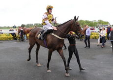 Cor Blimey Gallop Novices' Ltd Handicap Hurdle