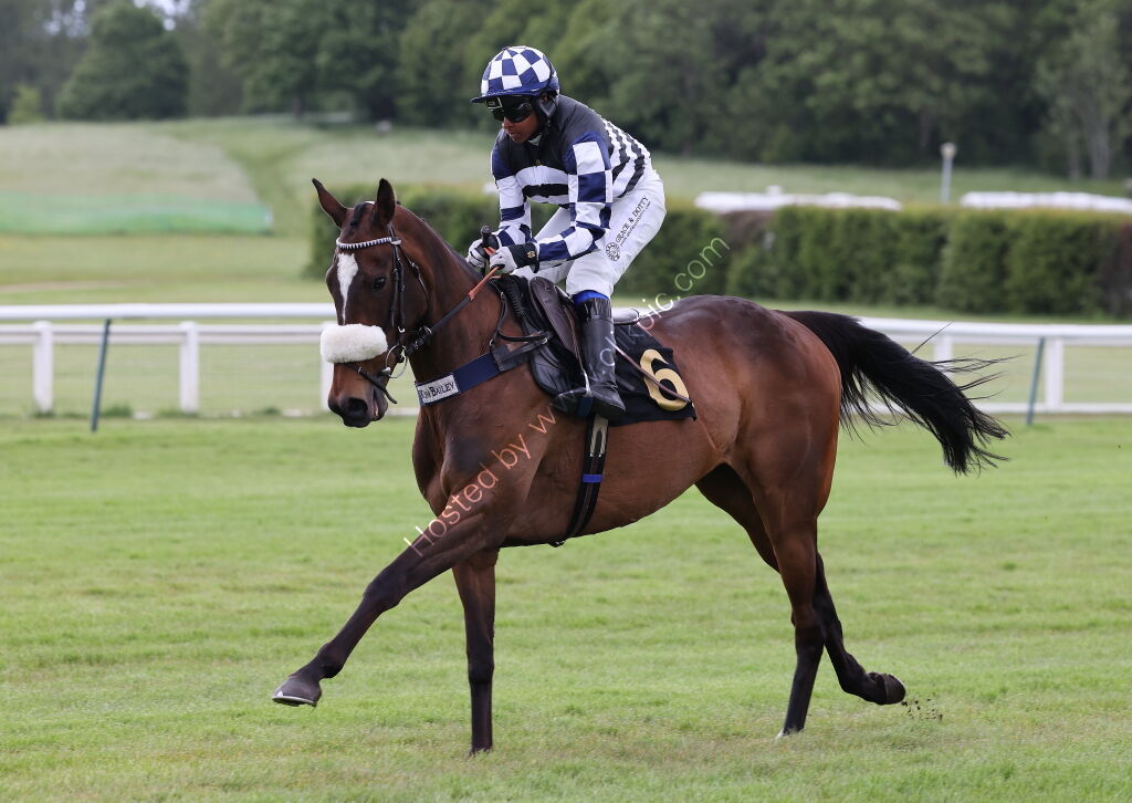 Love Warwick Handicap Hurdle