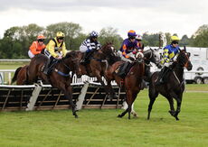 Love Warwick Handicap Hurdle