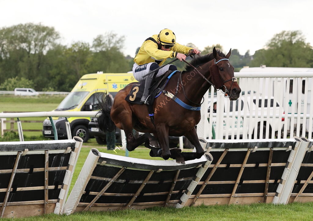 Love Warwick Handicap Hurdle