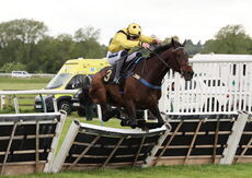 Love Warwick Handicap Hurdle