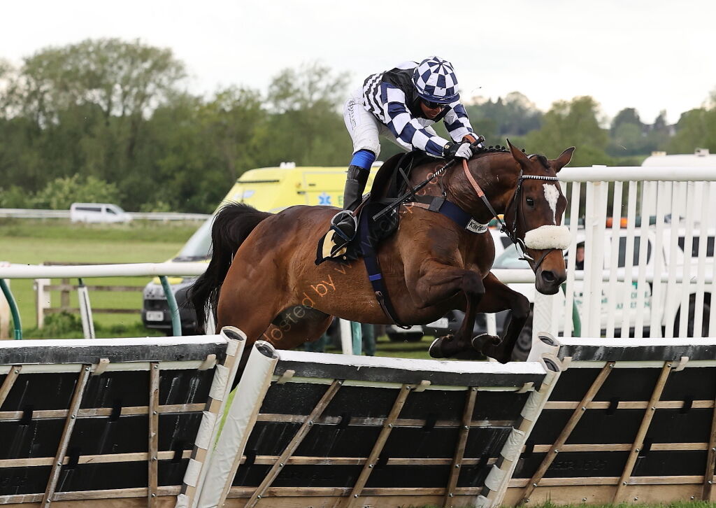 Love Warwick Handicap Hurdle