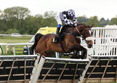Love Warwick Handicap Hurdle