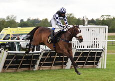 Love Warwick Handicap Hurdle