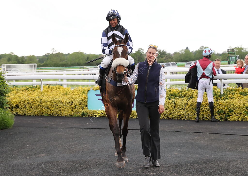 Love Warwick Handicap Hurdle