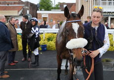Love Warwick Handicap Hurdle