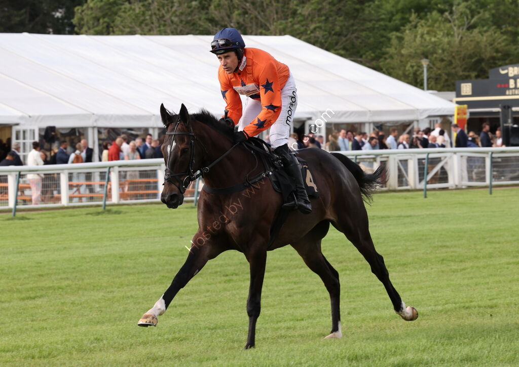 EHB Residential Maiden Hurdle