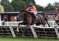 EHB Residential Maiden Hurdle