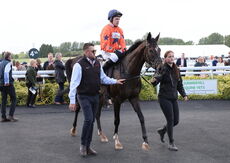 EHB Residential Maiden Hurdle