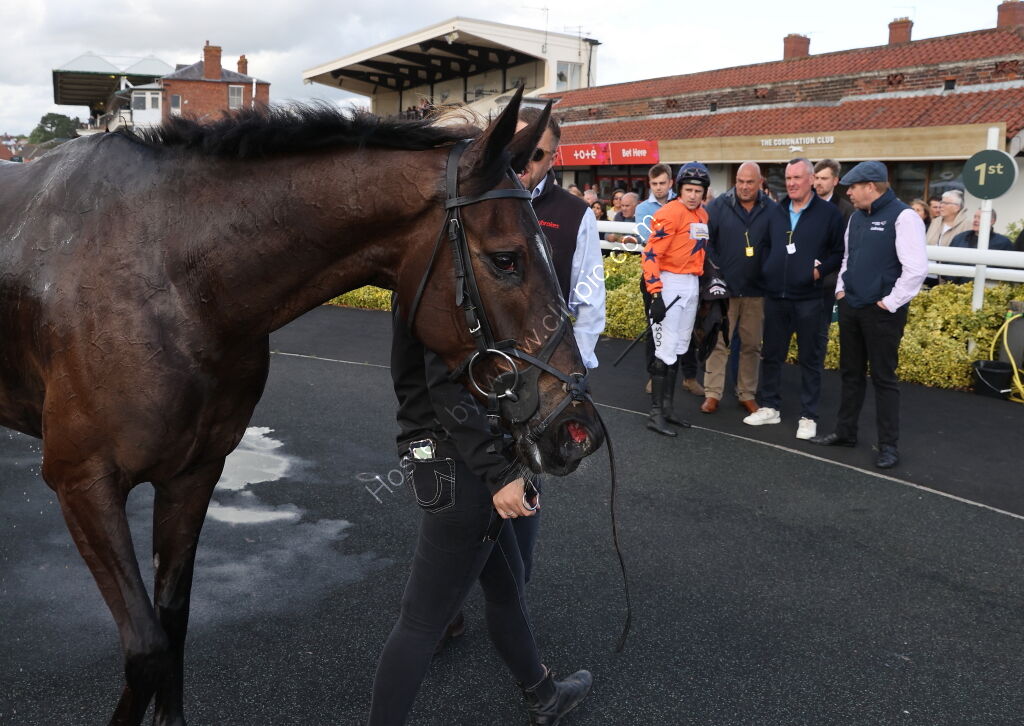 EHB Residential Maiden Hurdle