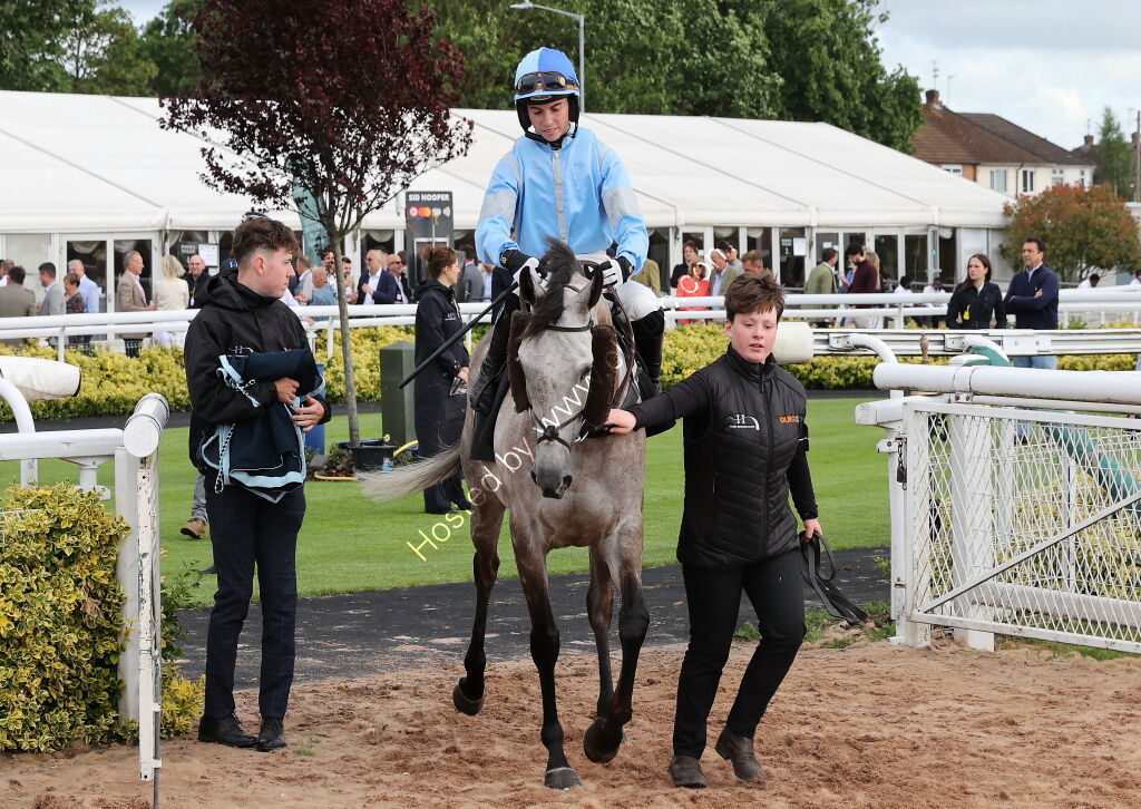 Insight Surveyors Handicap Hurdle