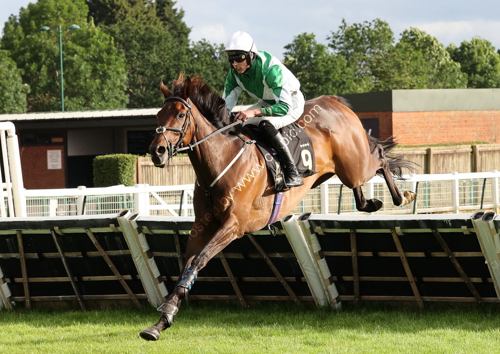 Insight Surveyors Handicap Hurdle