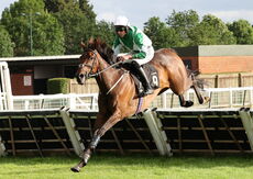 Insight Surveyors Handicap Hurdle