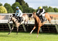 Insight Surveyors Handicap Hurdle