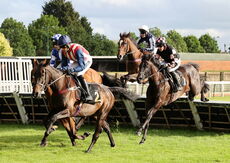Insight Surveyors Handicap Hurdle