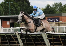 Insight Surveyors Handicap Hurdle