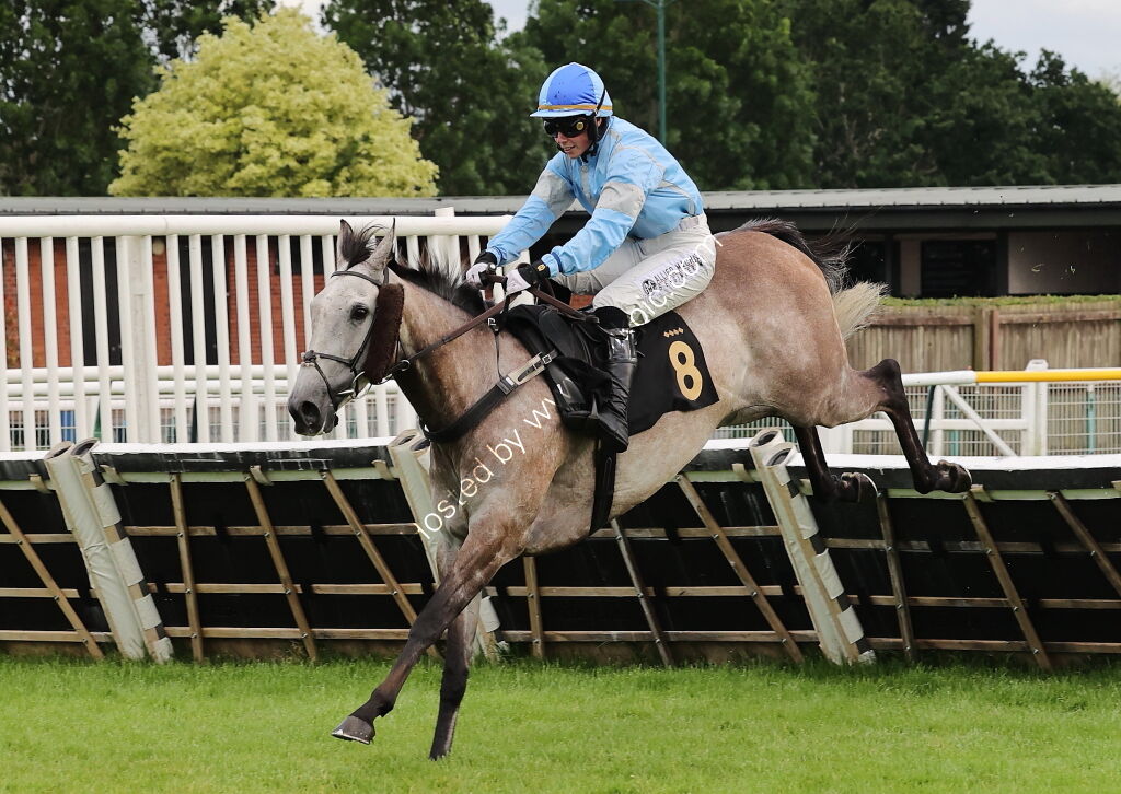 Insight Surveyors Handicap Hurdle