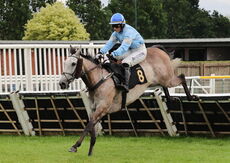 Insight Surveyors Handicap Hurdle