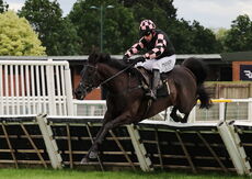 Insight Surveyors Handicap Hurdle
