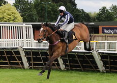 Insight Surveyors Handicap Hurdle