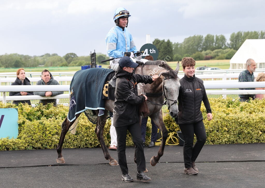 Insight Surveyors Handicap Hurdle