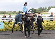 Insight Surveyors Handicap Hurdle