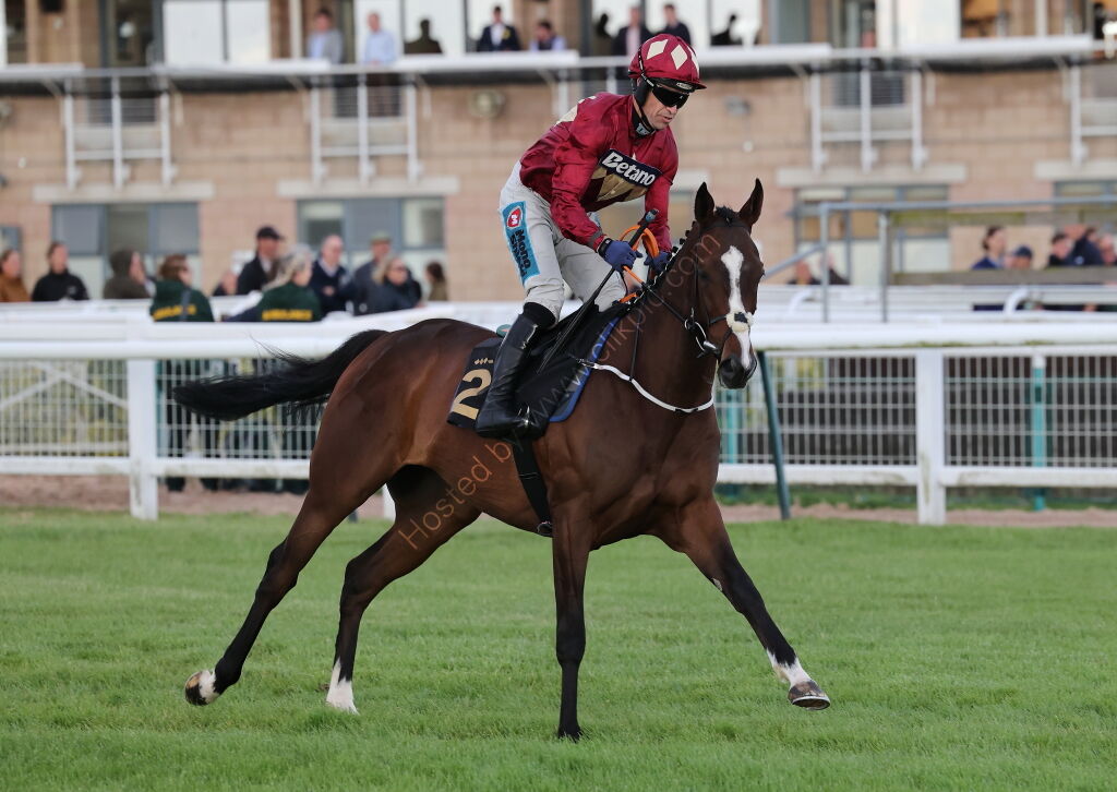 Virtus Property Services Handicap Hurdle