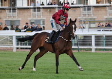 Virtus Property Services Handicap Hurdle